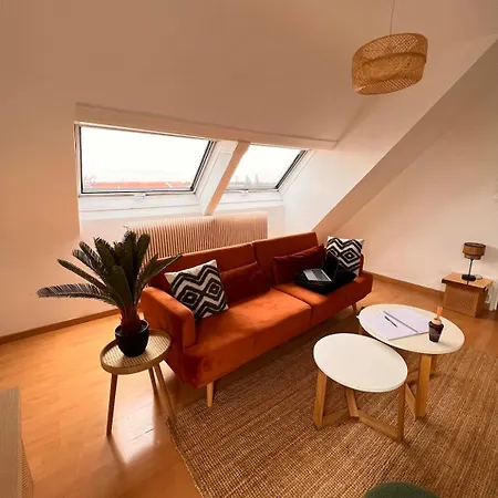 Balneo, Lumineux, Confort Colmar Exterior photo